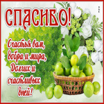 Замечательная открытка спасибо