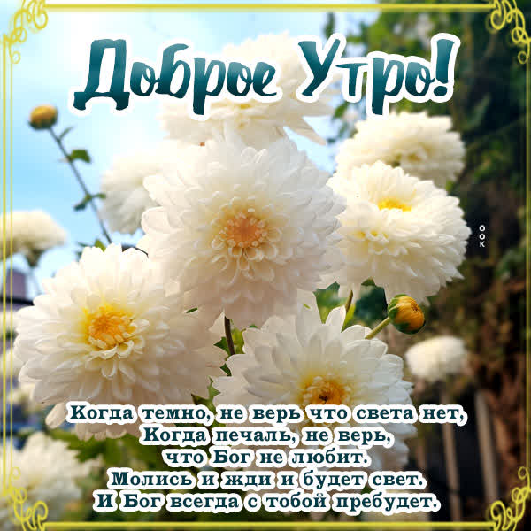 Postcard ароматная открытка доброе утро