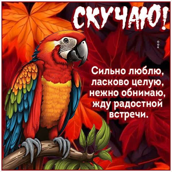 Postcard чарующая открытка скучаю