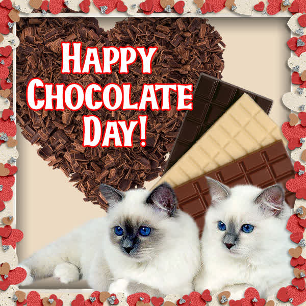 Postcard chocolate day