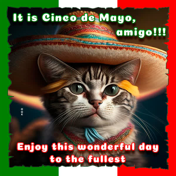 Picture cinco de mayo