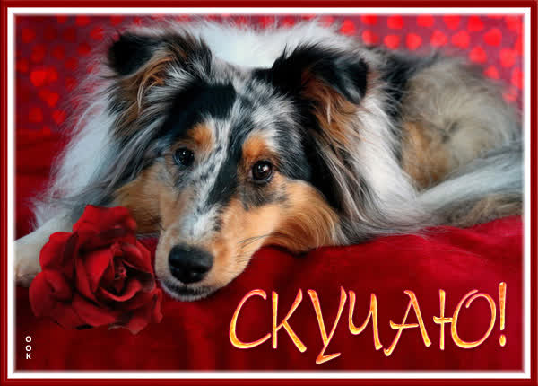 Postcard чудесная картинка скучаю