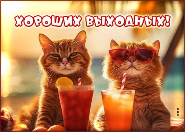 Postcard чудесная картинка хороших выходных