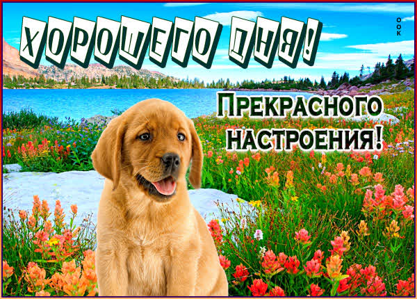 Postcard чудесная открытка хорошего дня