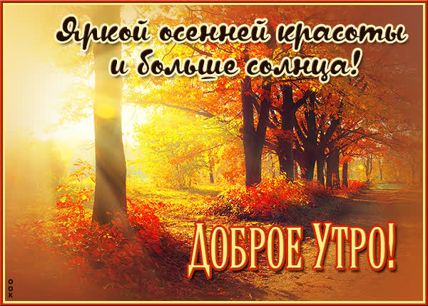 Postcard чудная картинка доброе утро