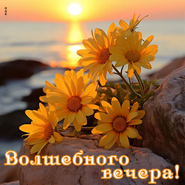 Postcard чудная открытка волшебного вечера