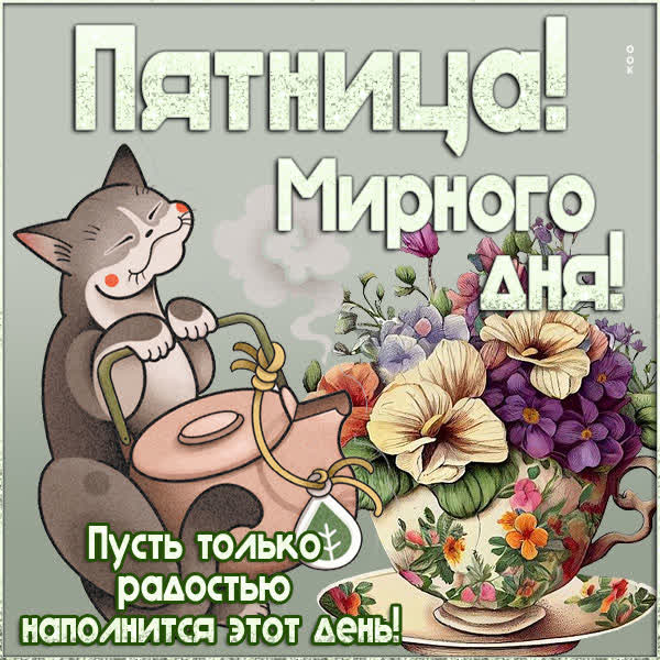 Picture душевная открытка мирного дня