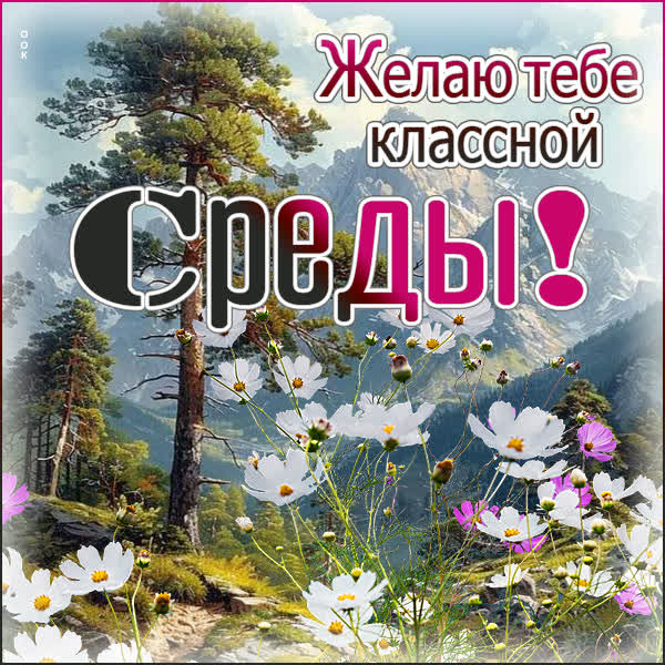 Postcard гармоничная открытка желаю тебе классной среды