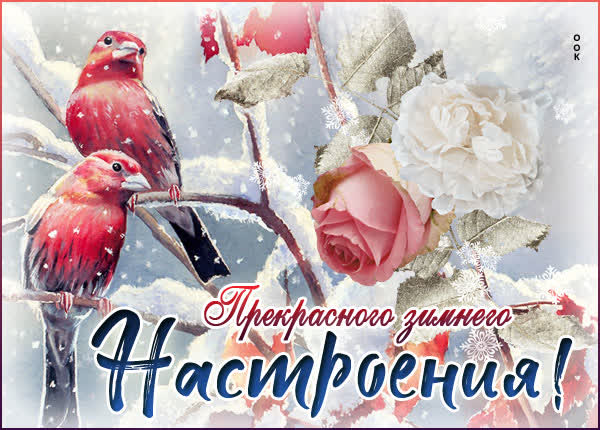 Postcard изысканная открытка прекрасного зимнего настроения