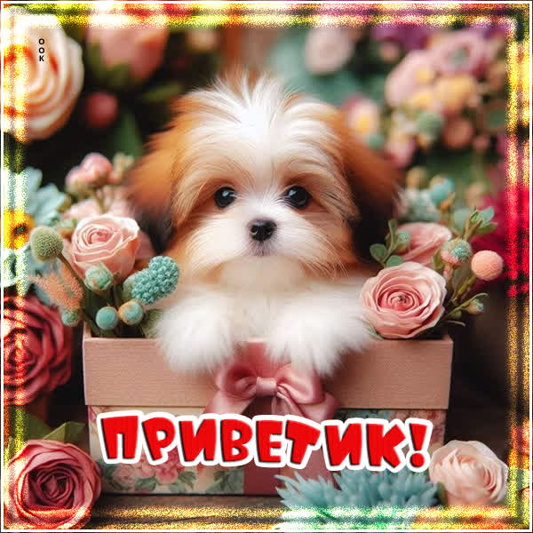 Picture картинка приветик, желаю успехов в твоих делах!