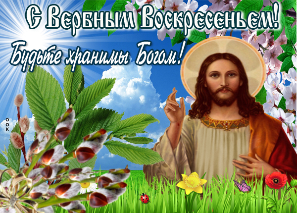 Картинка картинка с вербным воскресеньем символ весны