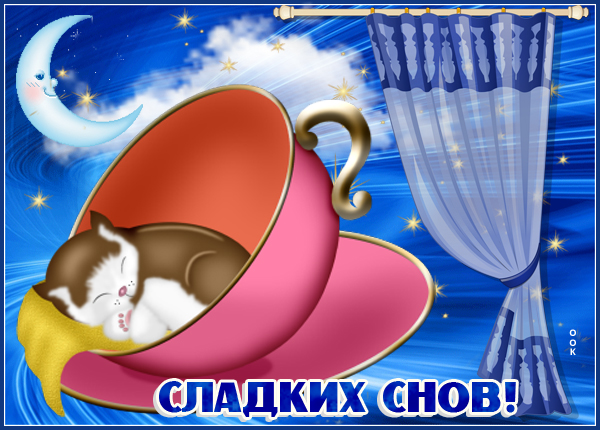 Картинка картинка сладких снов с котиком