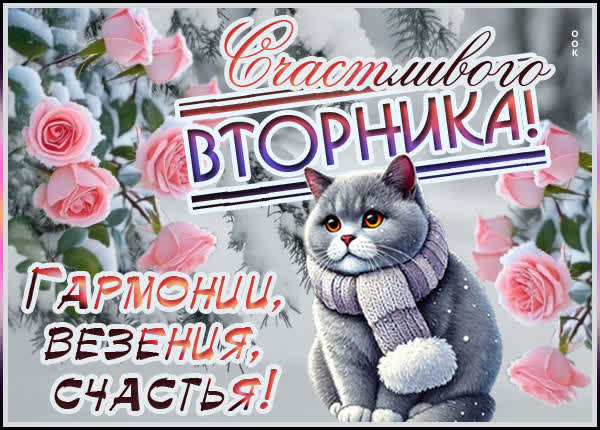 Picture картинка вторник — день для счастья!