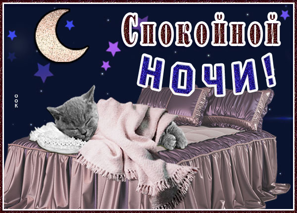 Картинка креативная картинка спокойной ночи с луной и котом