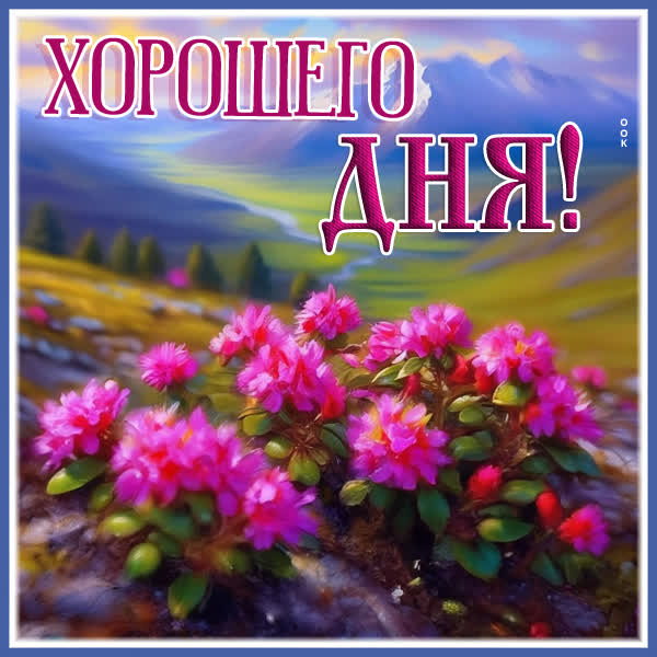 Picture лучезарная открытка хорошего дня