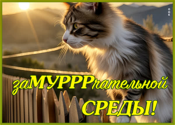 Postcard милая картинка зумурррчательной среды