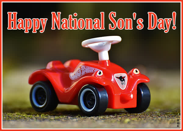 Postcard nat'l. son's day