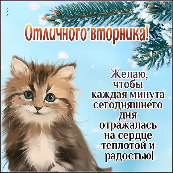 Picture нежная картинка отличного вторника