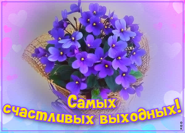 Picture новая картинка самых счастливых выходных