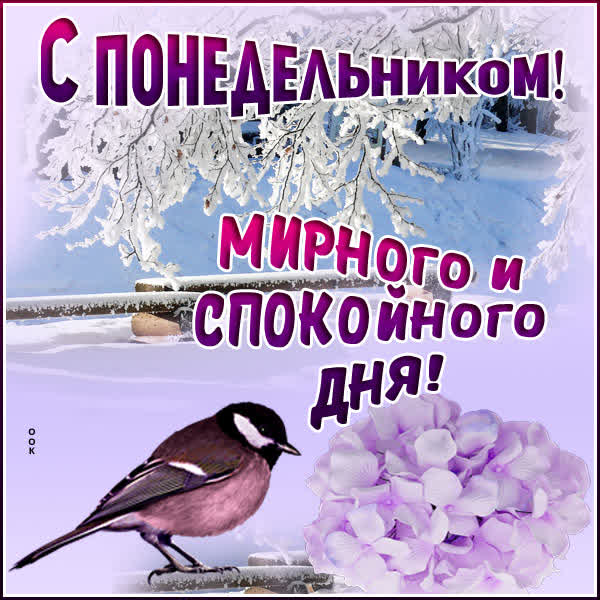 Postcard новая открытка с понедельником