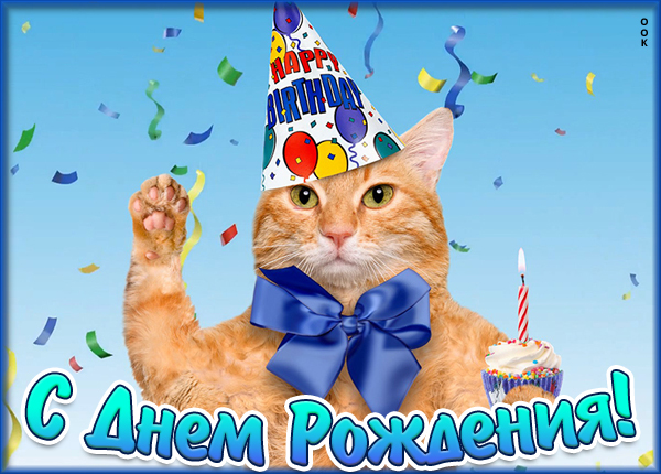 Картинка оригинальная картинка с днем рождения с котом