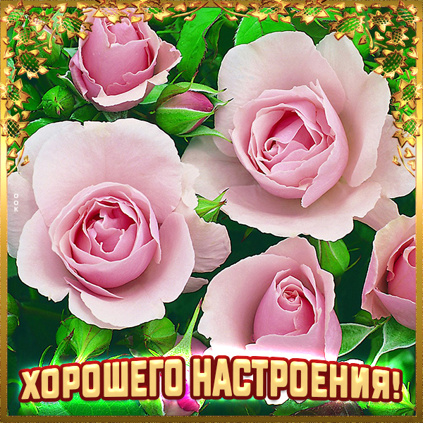 Открытка открытка хорошего  настроения с розами