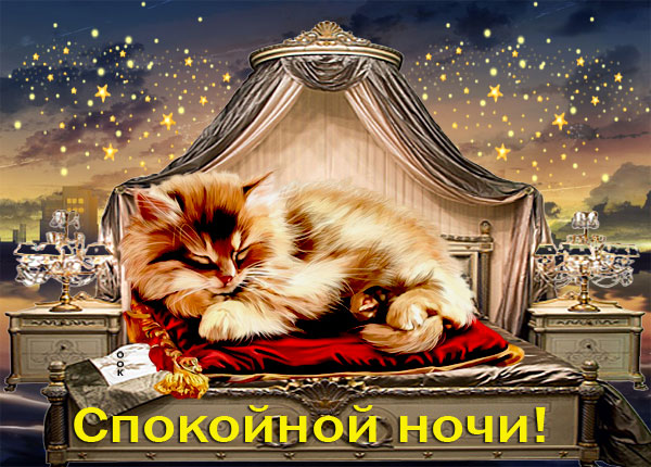 Картинка открытка спокойной ночи с кошкой