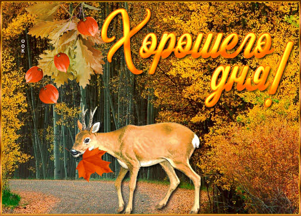 Postcard открытка хорошего дня с осенью