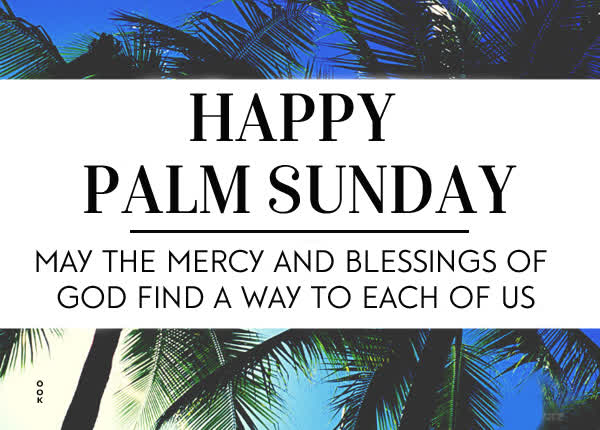 Postcard palm sunday