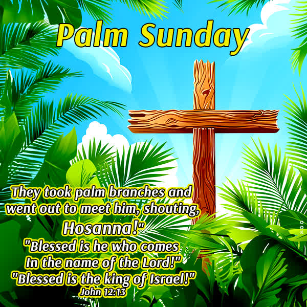 Postcard palm sunday