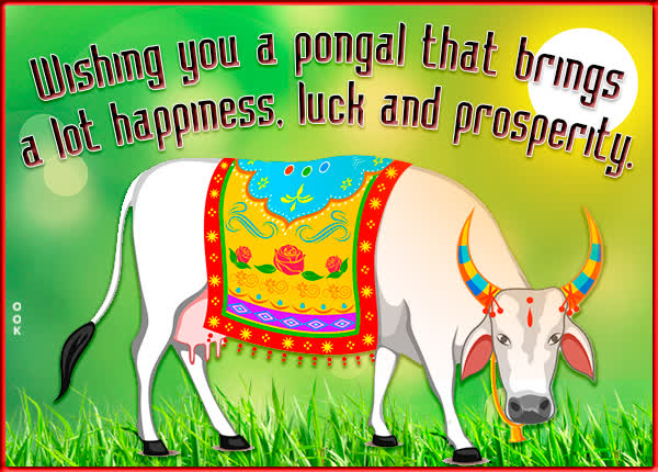 Picture pongal