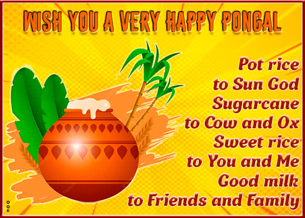 Picture pongal