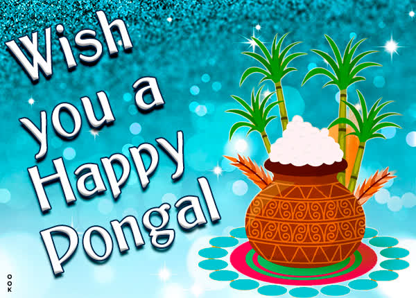 Picture pongal