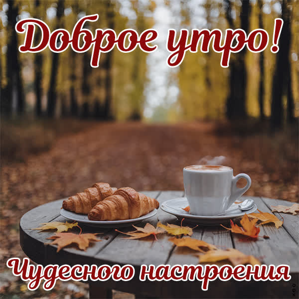 Postcard прохладная открытка доброе утро