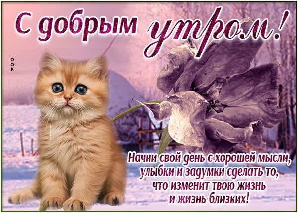 Postcard радостная открытка доброе утро