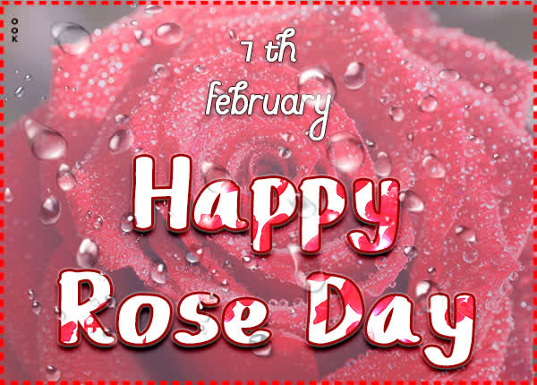 Postcard rose day