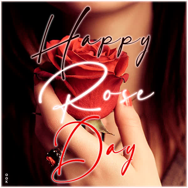 Picture rose day