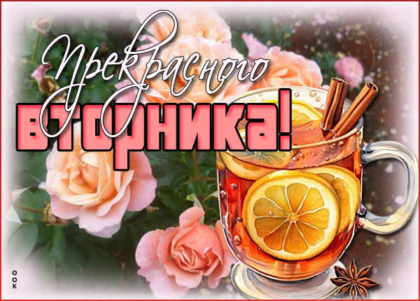 Postcard шикарная картинка прекрасного вторника