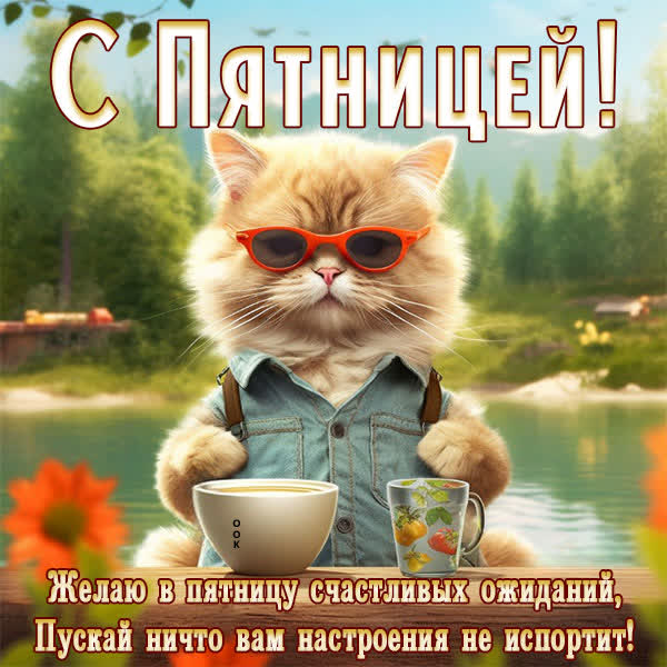 Postcard смешная открытка с пятницей