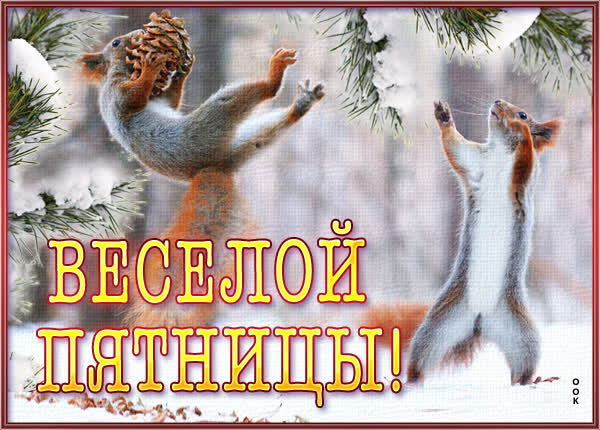 Postcard смешная открытка веселой пятницы