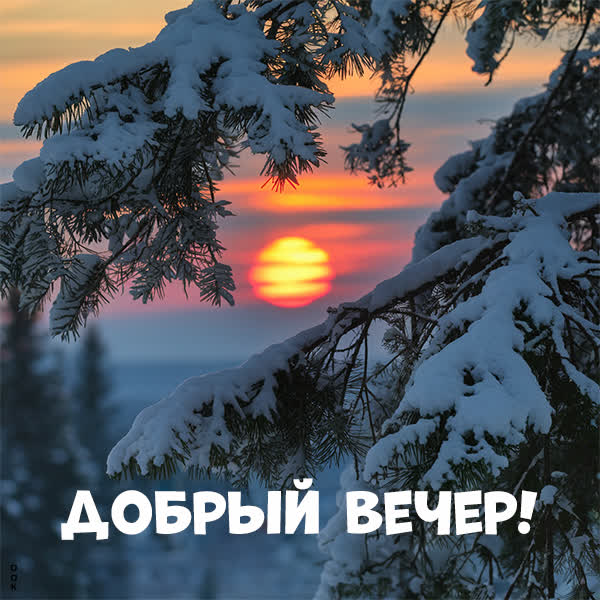 Postcard снежное спокойствие открытка добрый вечер