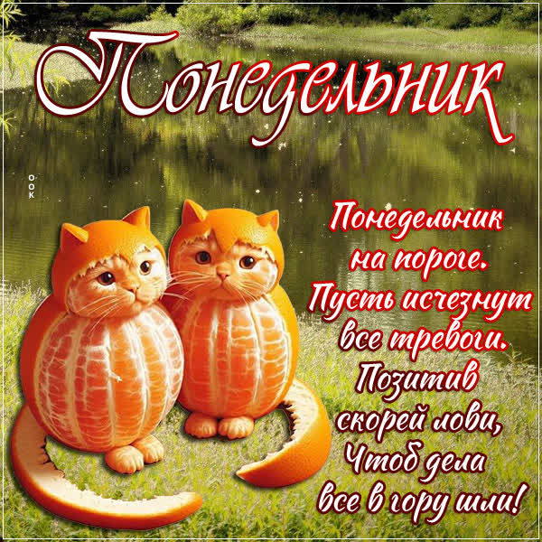 Postcard солнечная открытка понедельник