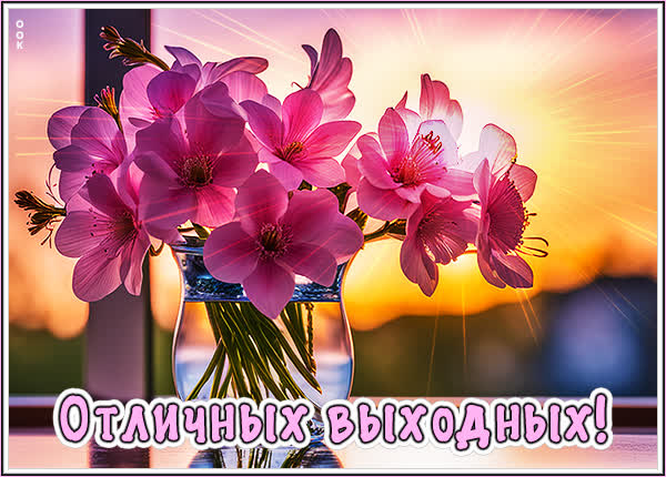 Postcard теплая открытка отличных выходных