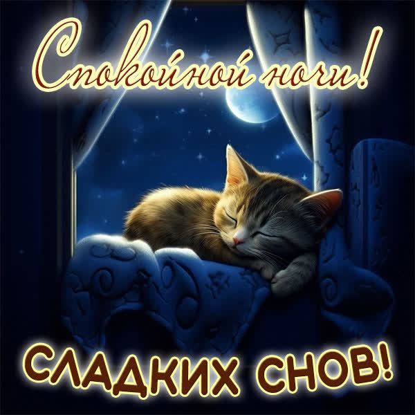 Postcard уникальная открытка сладких снов