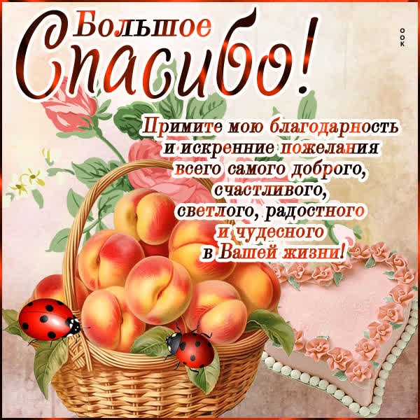 Postcard вдохновляющая открытка большое спасибо