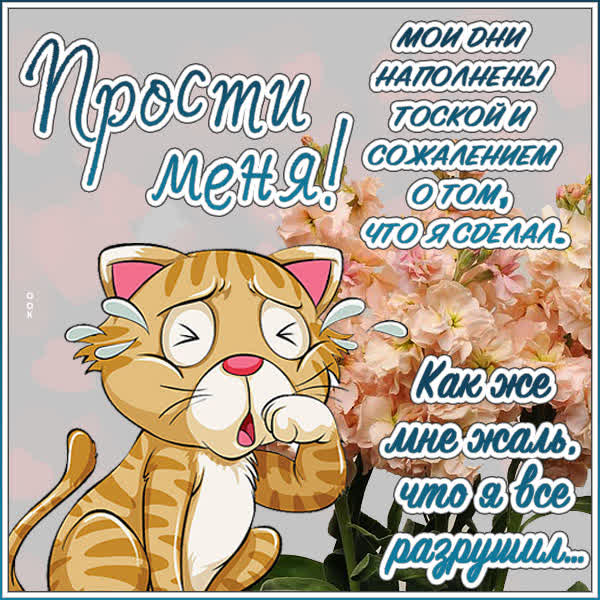 Postcard вдохновляющая открытка прости меня