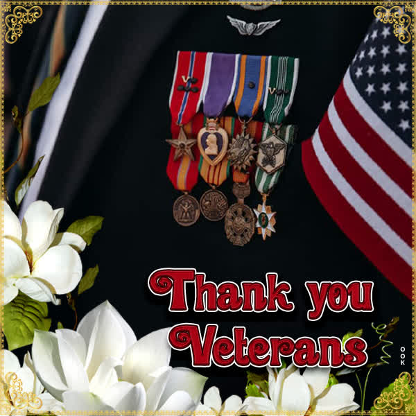 Picture veterans day