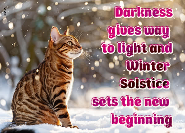 Picture winter solstice