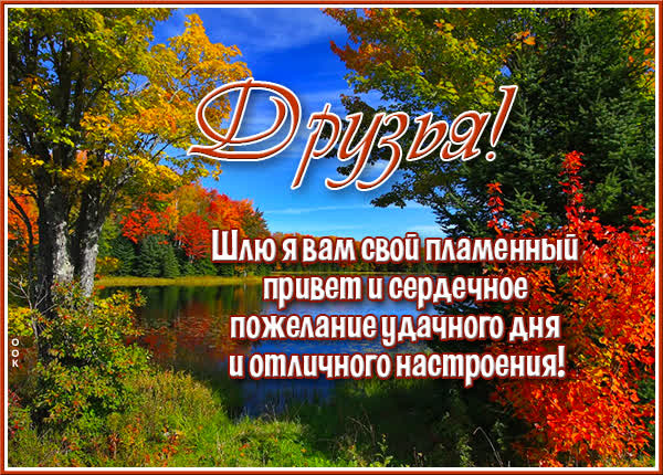 Postcard яркая картинка друзья