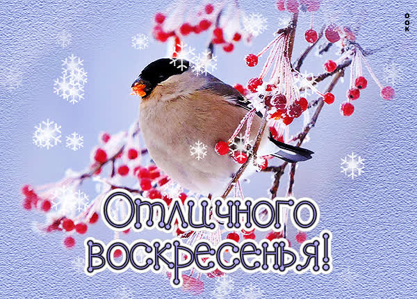 Postcard яркая картинка отличного воскресенья